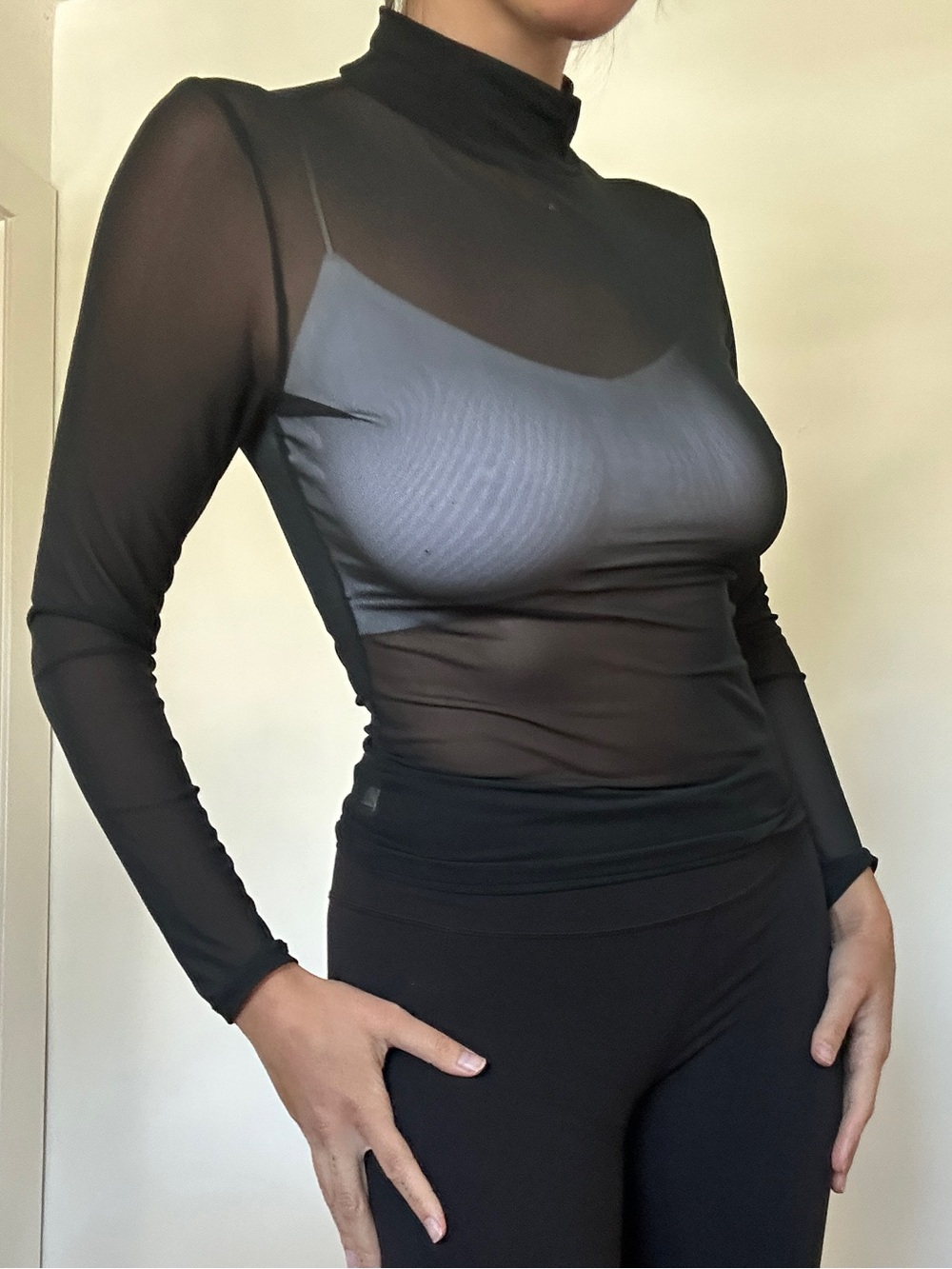 wild fable Black Sheer Mock Neck Long Sleeve Top
